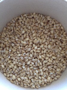 Pearl barley