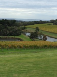 View from Port Philip Estate